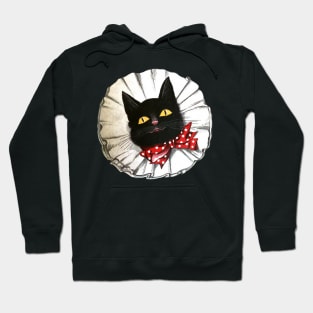 Party Cat Hoodie